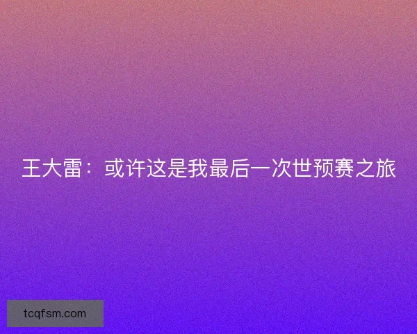 王大雷：或许这是我最后一次世预赛之旅